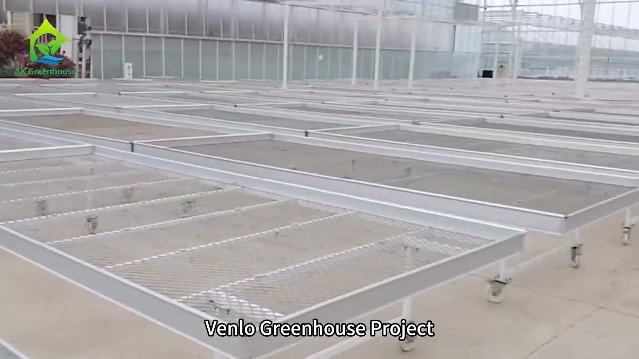 Commercial Tempered Glass Venlo Type Greenhouse Multispan For Agricultural