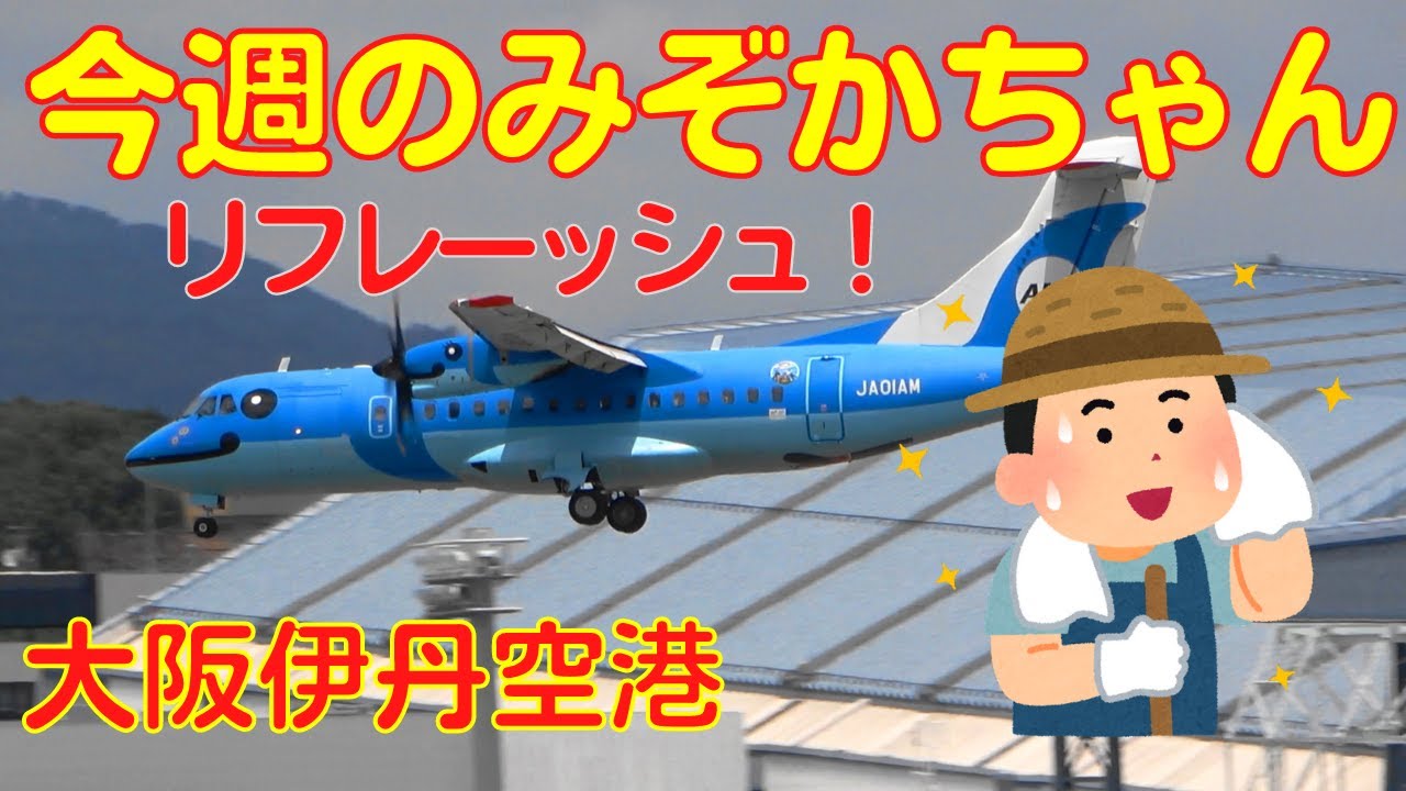 【大阪伊丹空港】今週のみぞかちゃん　2022.7.23　リフレッシュして戻ってきました！