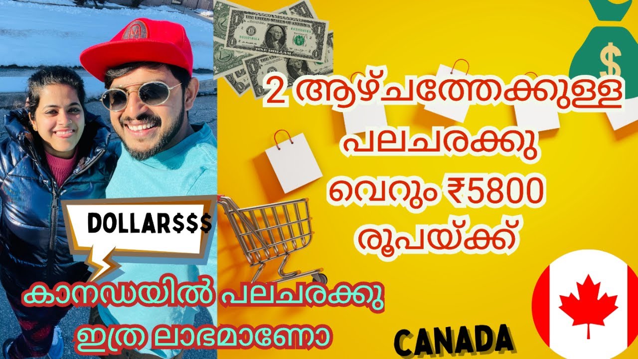 2 ആഴ്ചത്തേക്കുള്ള ഞങ്ങടെ grocery shopping/Grocery Shopping for Family/Canada/Walmart/Malayalam Vlog