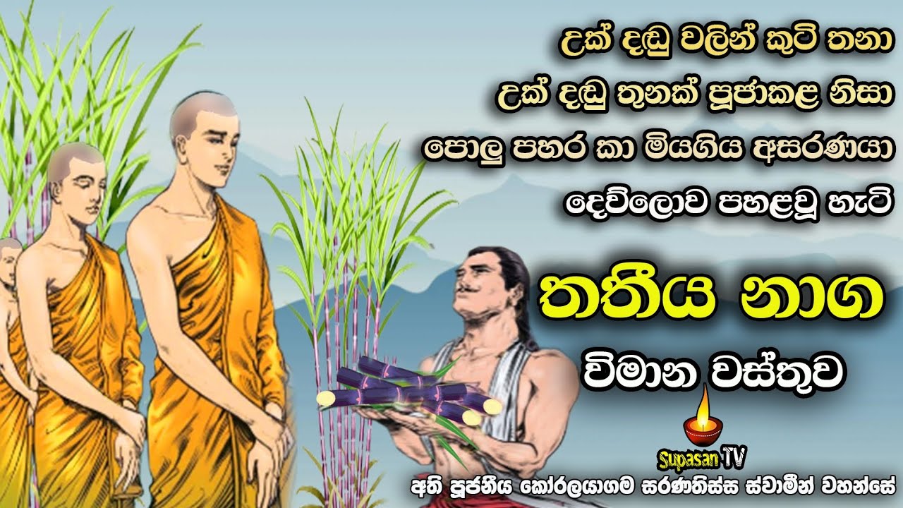 තතීය නාග විමාන වස්තුව | උක්දඬු පූජාව නිසා පහරදී ඝාතනය වූ අසරණයා දෙවියෙක් වූ හැටි |Naga wimana wattu.