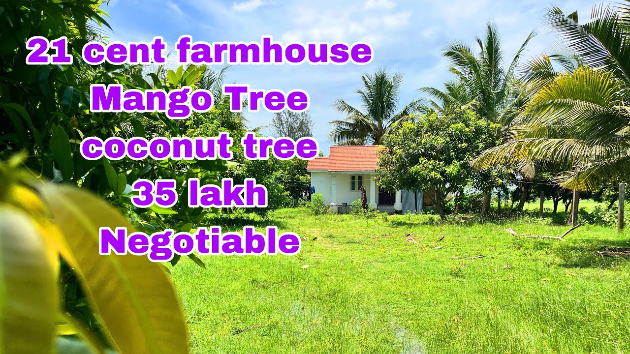 🆔61// 21 cent farmhouse mango tree 🌳 coconut 🌴 tree ecr to 7 km distance