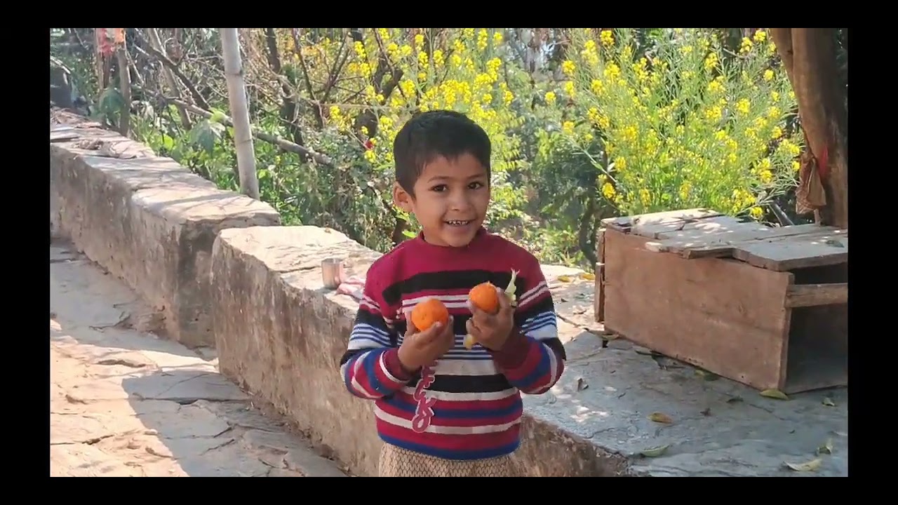 My first vlog in village ⛰️🏞🏡🛖#uttarakhand #almora #nature #mosam #cool #wintar #chaukhutiya #phadi