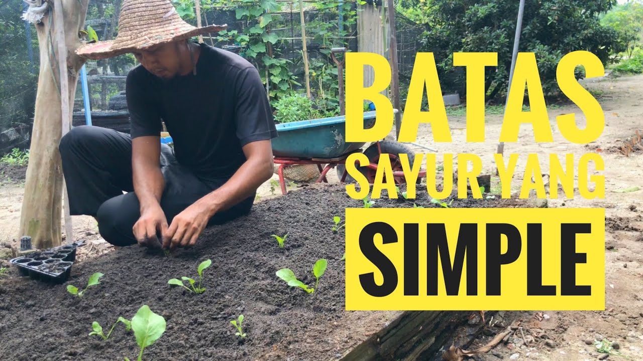 Buat Batas Sayur Yang Simple - Ayra Edible Garden