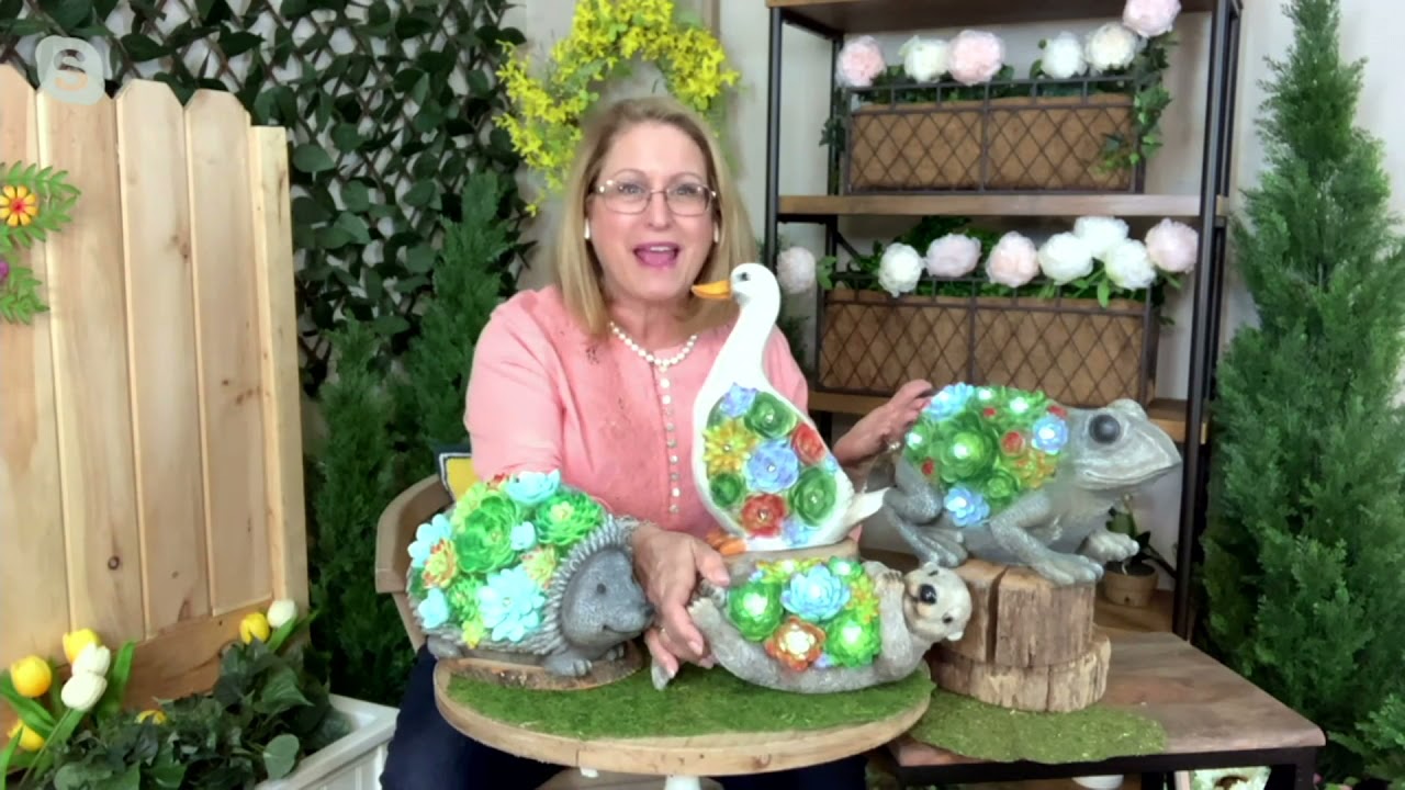 Plow & Hearth Solar Resin Lit Succulent Animal Statuary on QVC