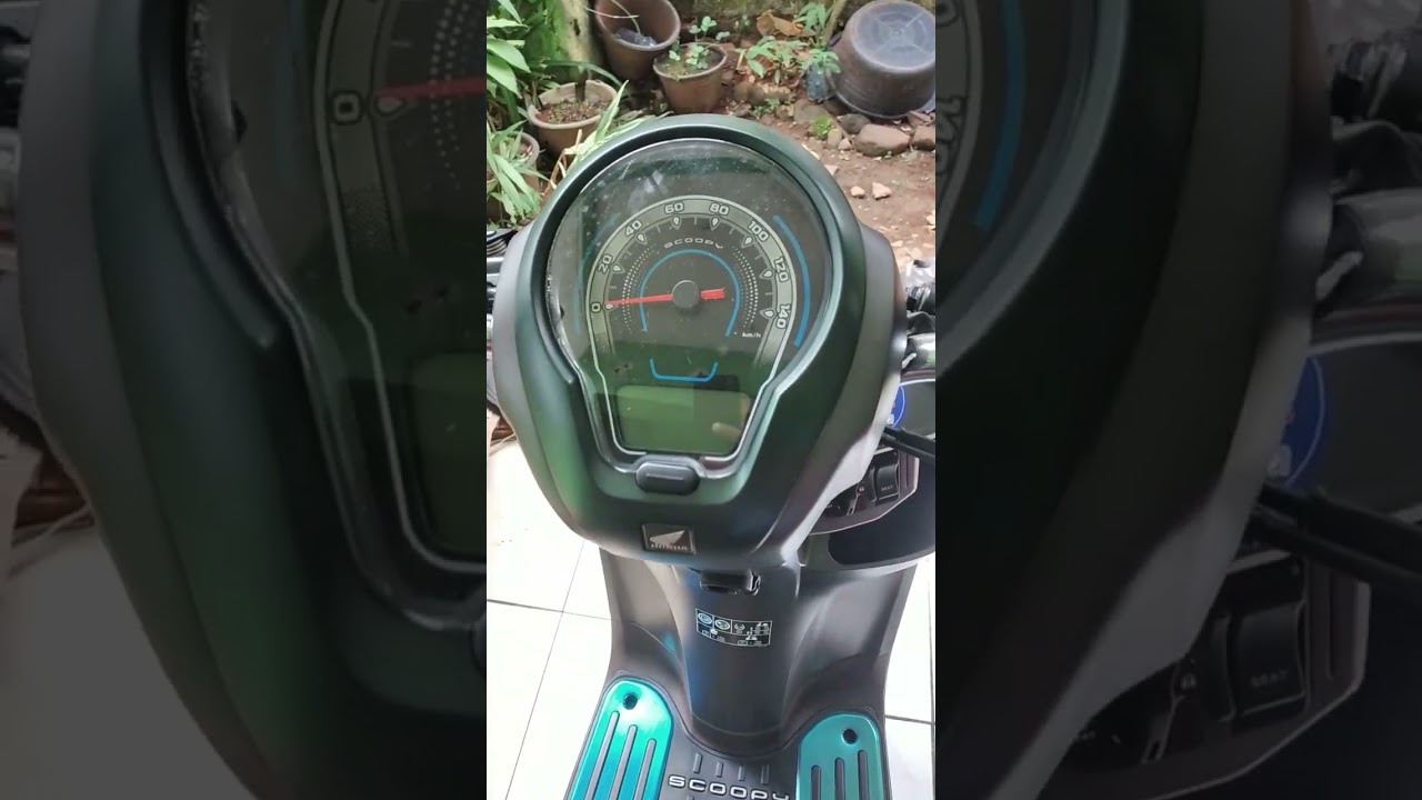 Scoopy Prestige Green 2023