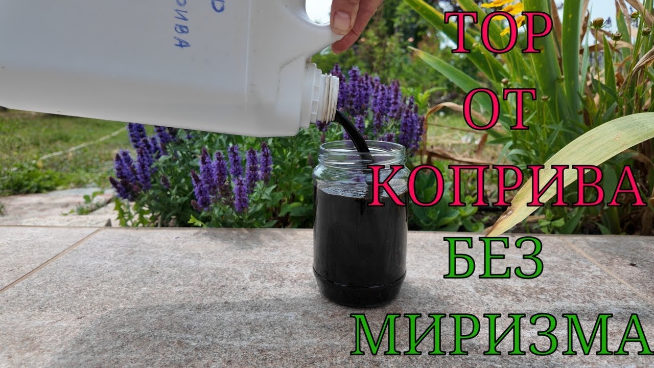 Тор от Коприва без миризма