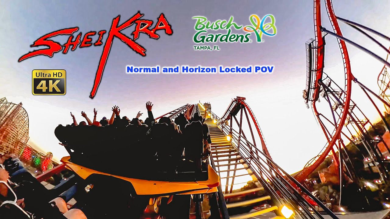 Sheikra Roller Coaster at Night On Ride Back Row 4K POV Busch Gardens Tampa 2022 01 01