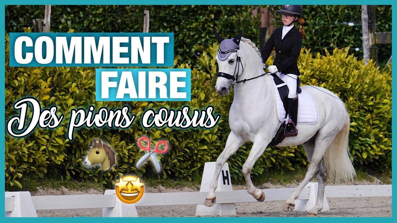 [TUTO] comment faire des pions cousus ✂️🐴