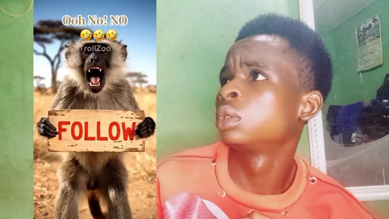 🤣😂 please try not to laugh! Watch these animals entertaining us today 