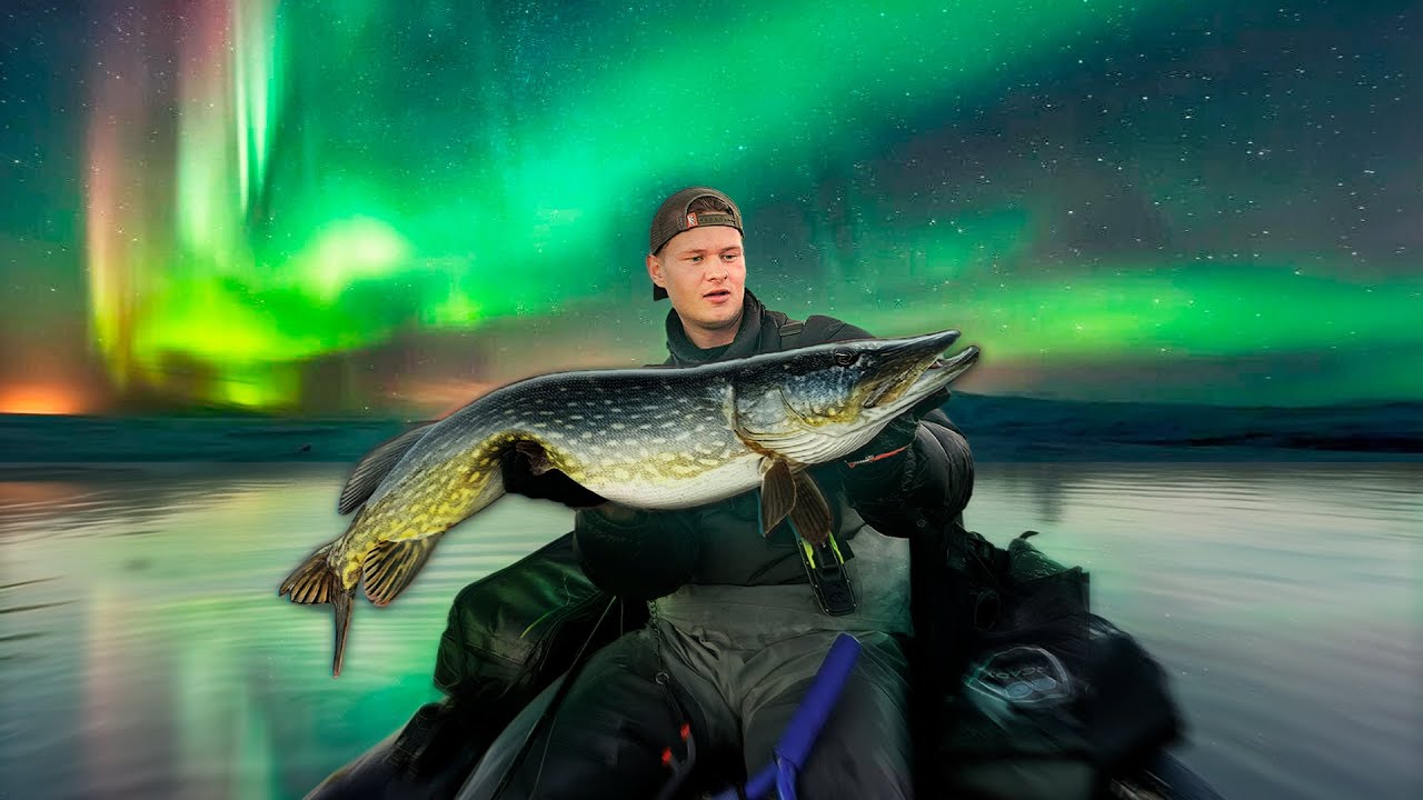 FANGER FISK UNDER NORDLYS - ep. 1