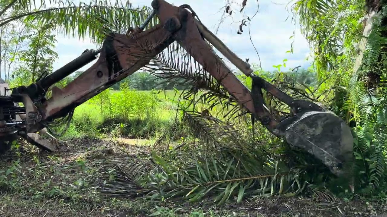 CASE 580 Super K - Masuk Kebun Kelapa Sawit