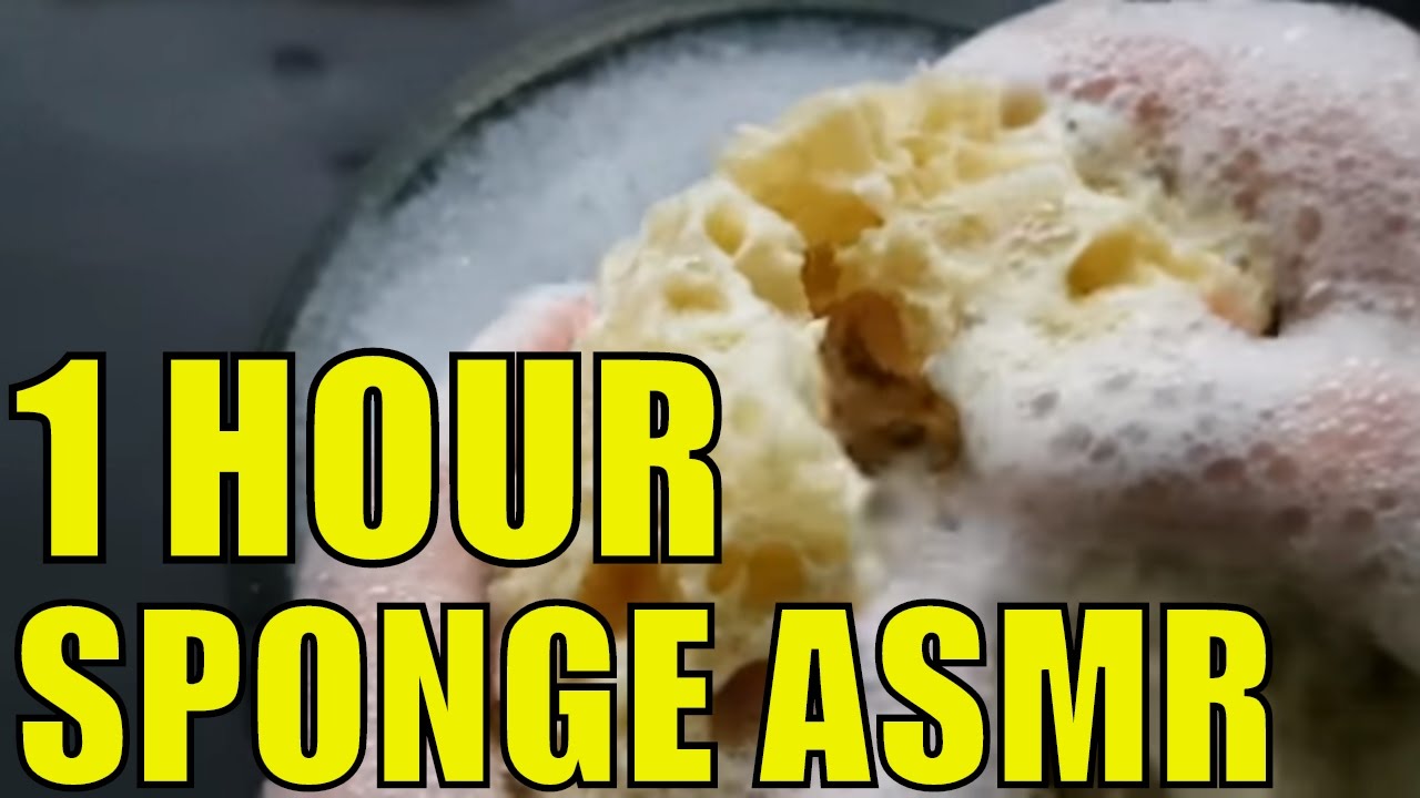 Sponge and Lather Sounds - Scratching/ Destroying Sponge (1 Hour ASMR )