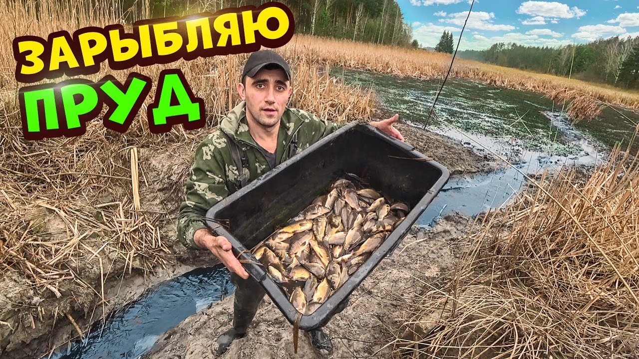 Зарыбляю пруд! Ловля карпа руками в болоте.Спускаю озеро.