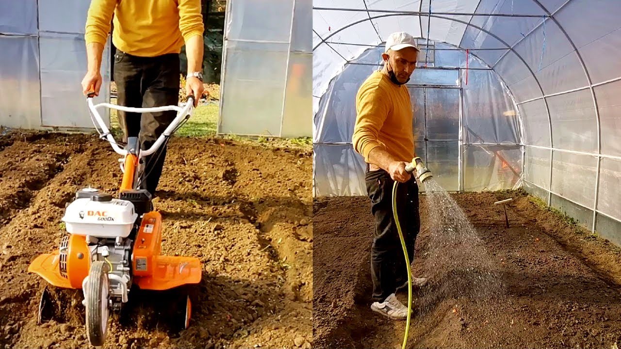 Pregatesc solarul si seman cultura de iarna