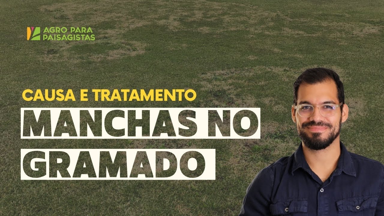 Como tratar manchas na grama esmeralda