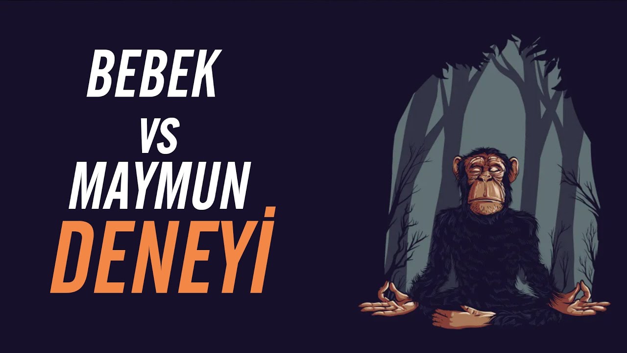 Bebek ve Maymun Karşılaştırması Deneyi
