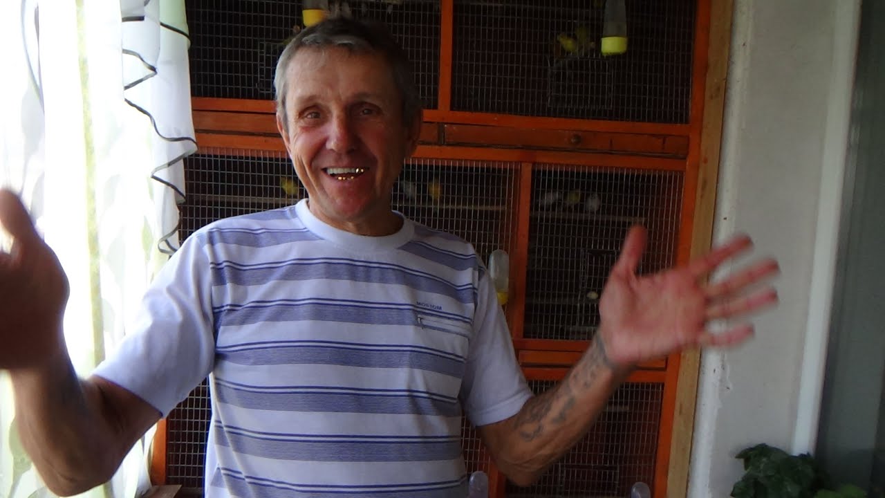 Ездили встречать с Сергей Ивановичем канареек на вокзал.