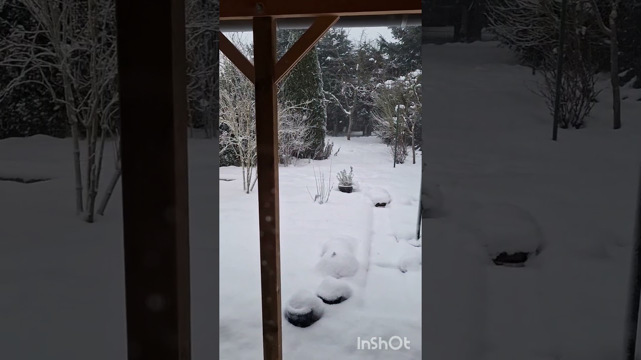 20260109 - Schnee - Me, Myself & I - selbst ist die Frau - Botanik