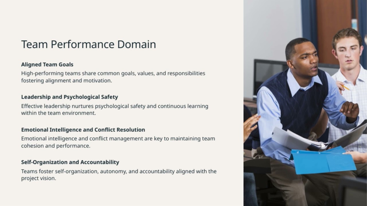 PMBOK 7th ed Performance Domains