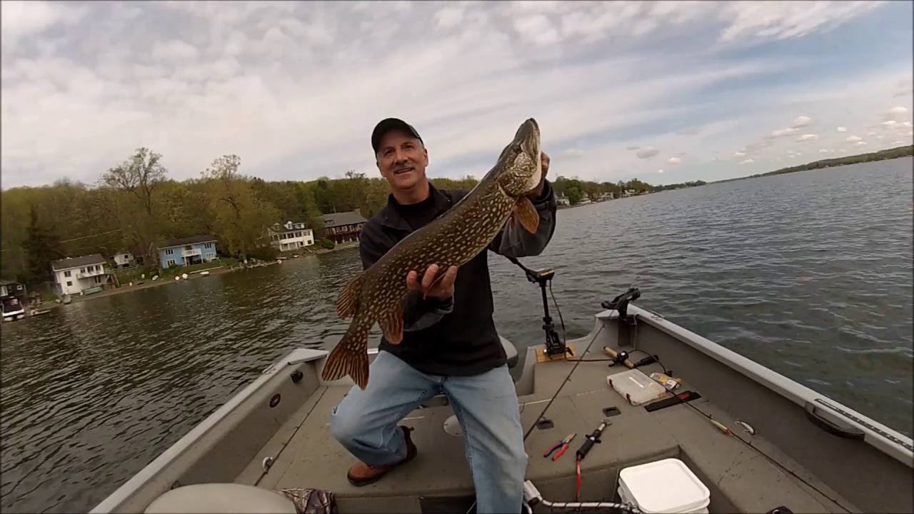 Spring Nothern Pike & Tiger Muskie Fishing, Trolling & Casting Conesus Lake NY Yo-Zuri Nutech Lures