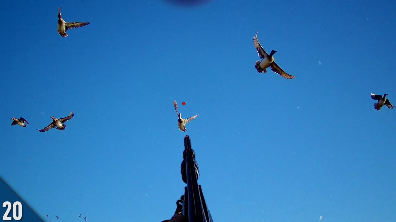 Solo Kayak Hunt in HIGH WIND | Duck Hunting with COOT Decoys