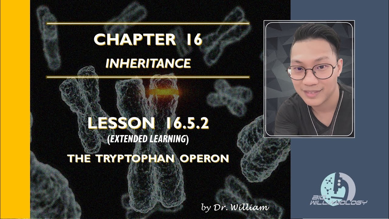 Extended Lecture Series 16.5.2: The Tryptophan Operon | Dr. William