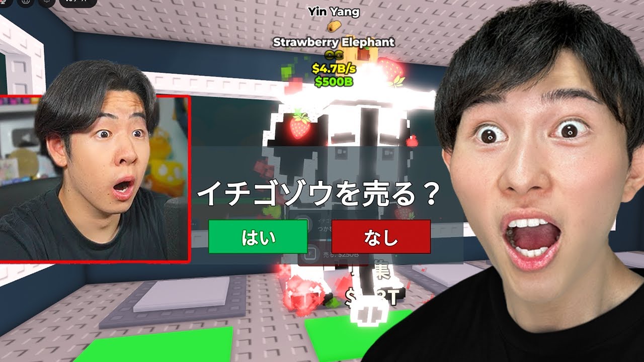 入手した陰陽ストロベリーエレファントをぜるふぃーに見せたら【ロブロックス/Roblox】