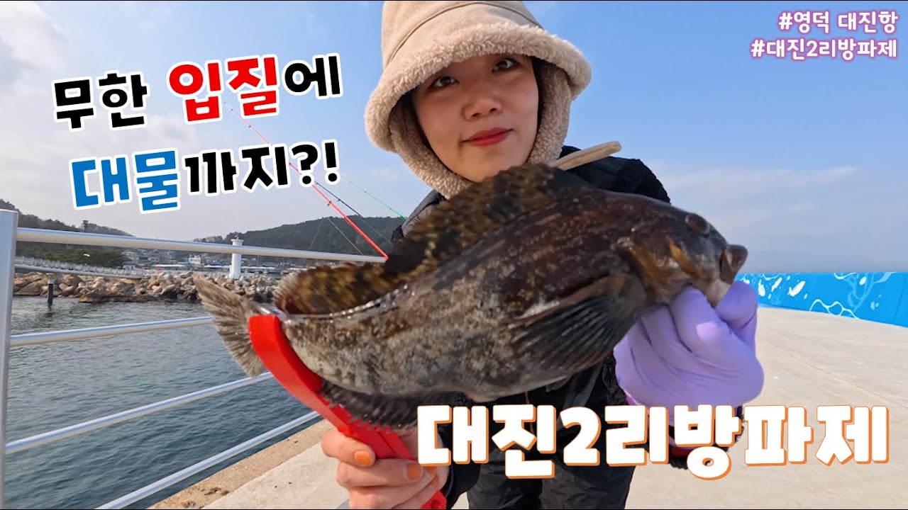 무한 입질 고기 천국에서 거대 쥐노래미까지 잡아봤습니다!