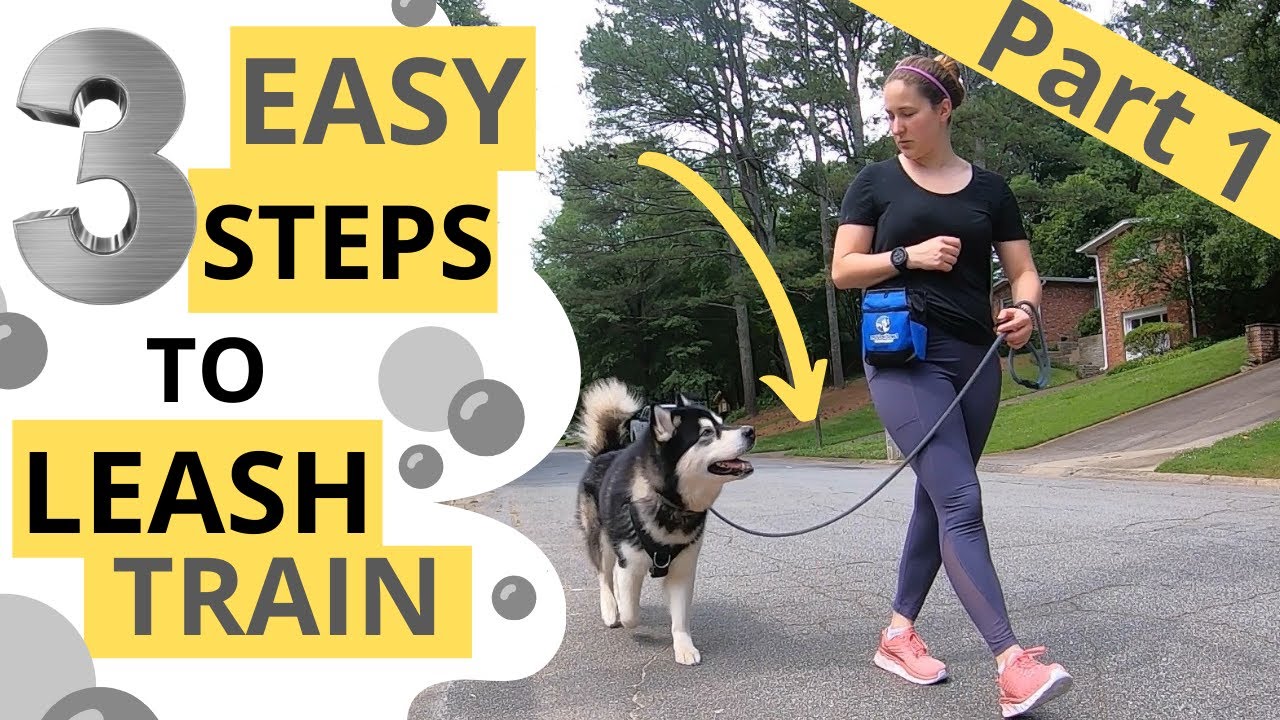 Loose Leash Walking: Attention and Motion (1/3)