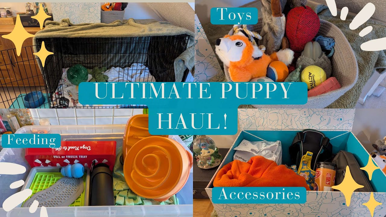ULTIMATE PUPPY HAUL | Everything we got for our new puppy! 🐶❤️