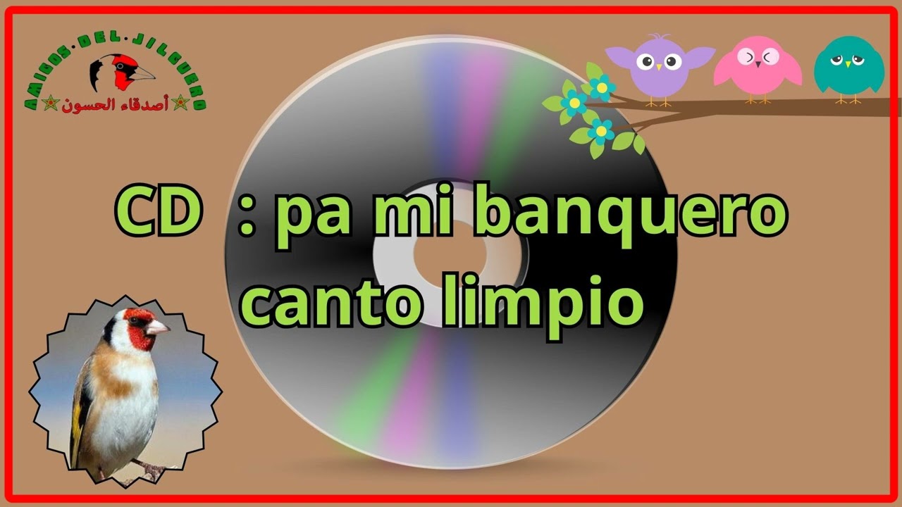 cd : canto limpio del jilguero ( pa mi banquero )