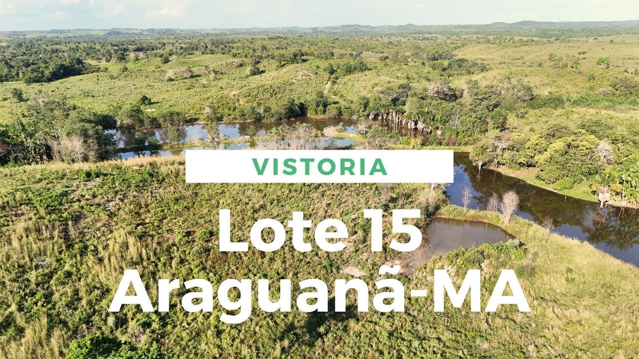 Vistoria no Lote 15 Araguanã-MA