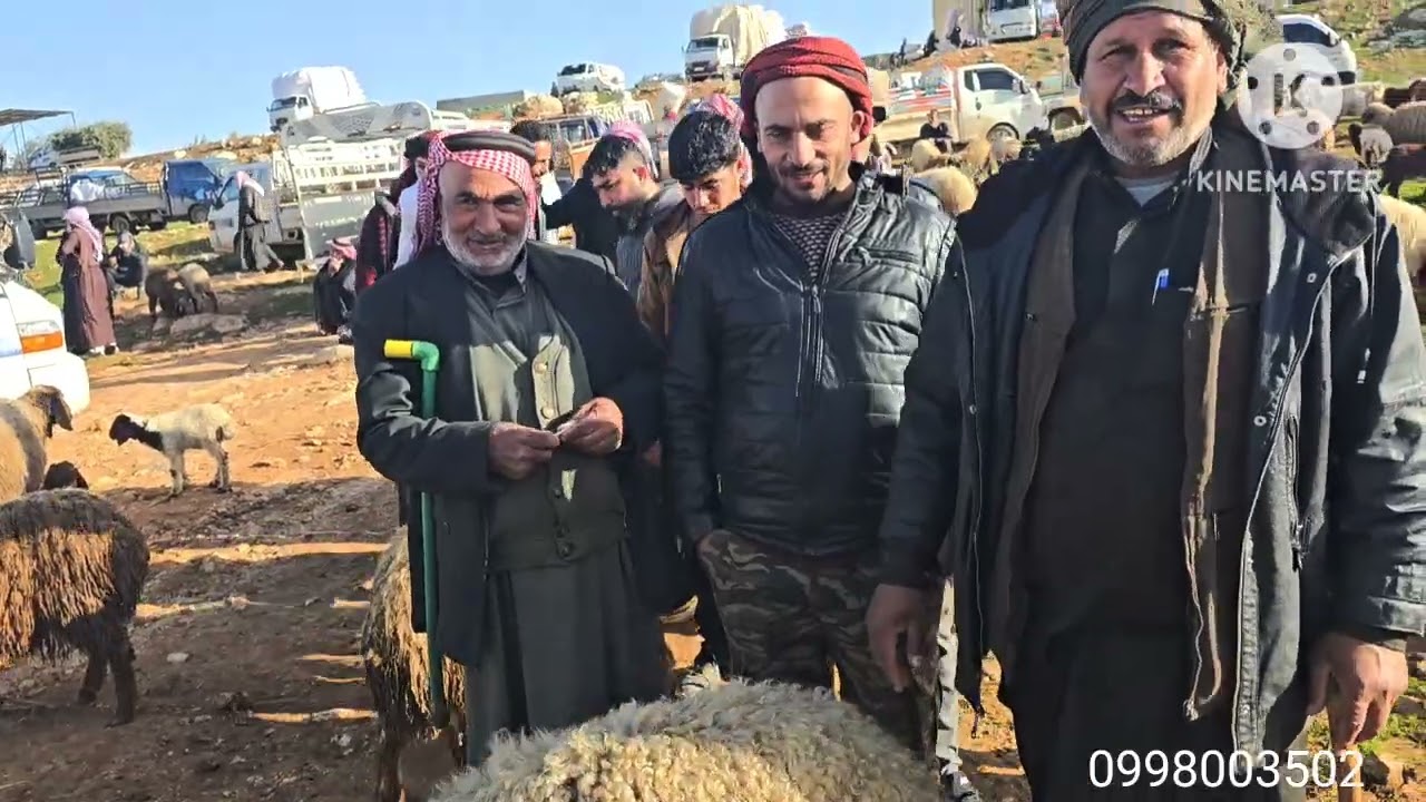 جوله جديده في اسواق ادلب كفر جالس 19\2\2026 حركه السوق وأسعار اللحم ولاعلاف 