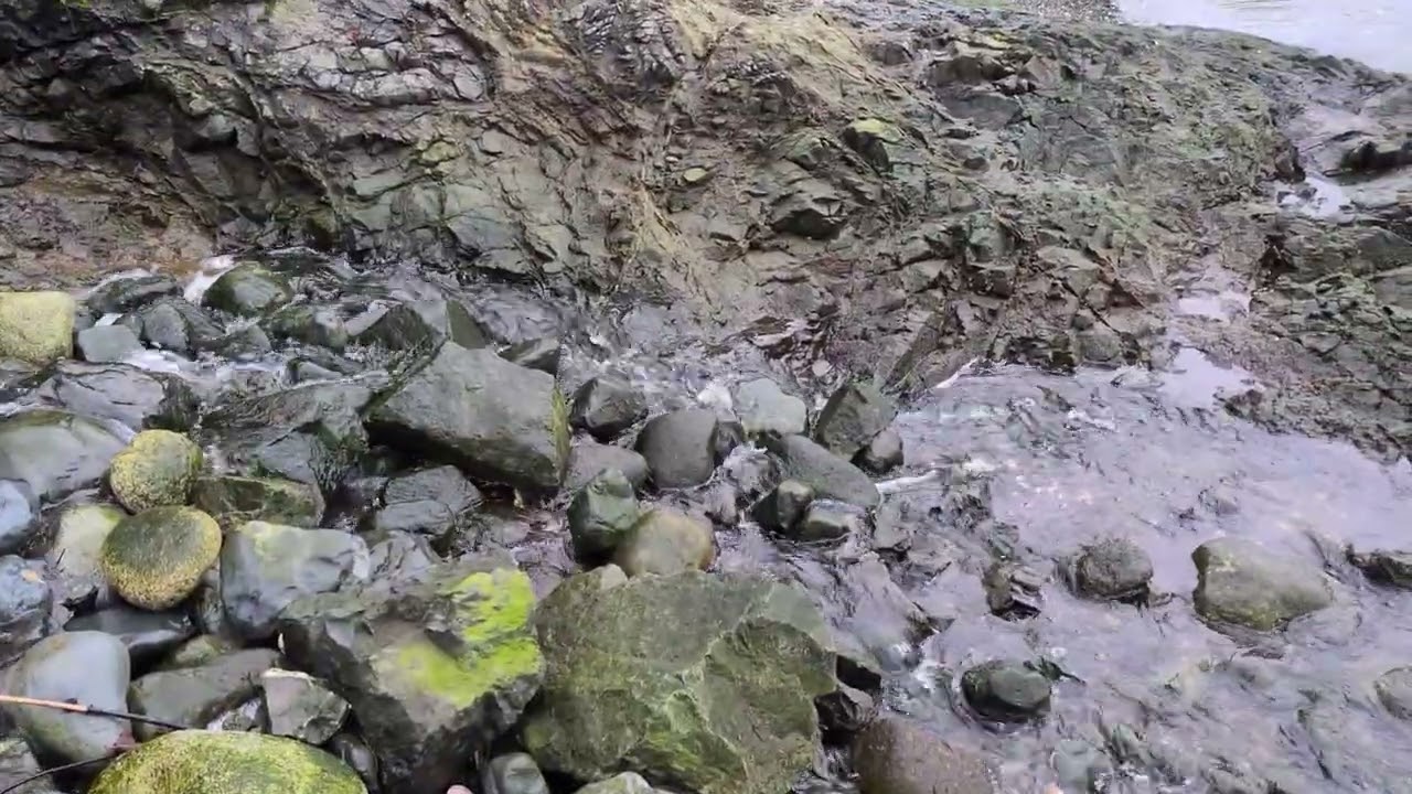 Found a stream on my walk