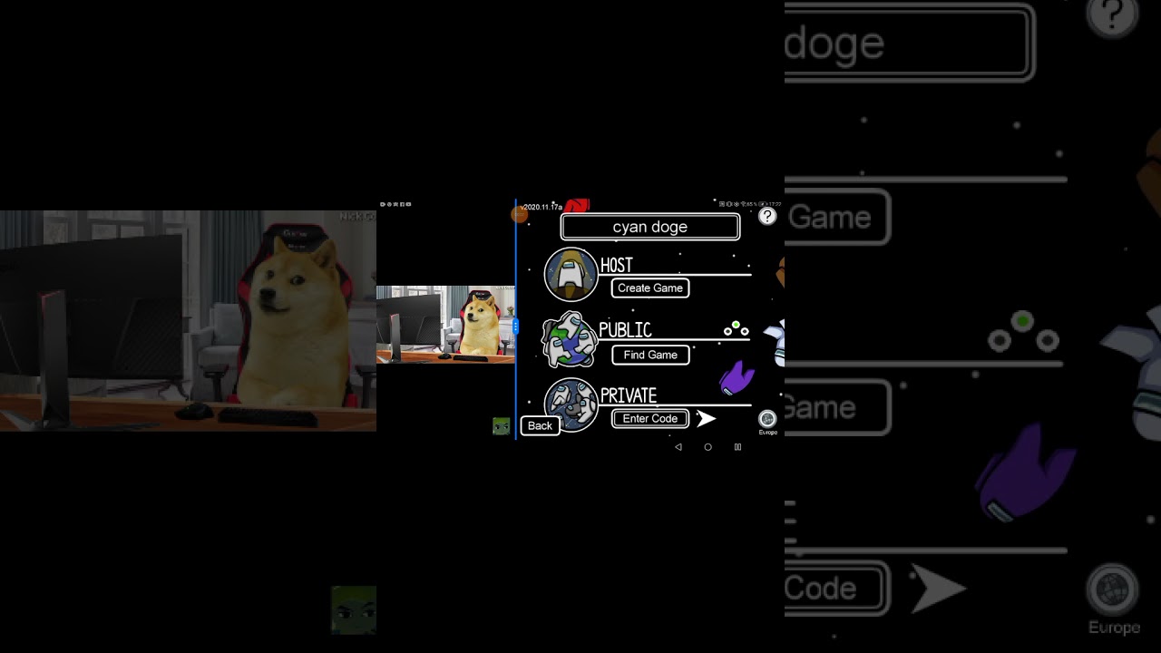 Doge play among us