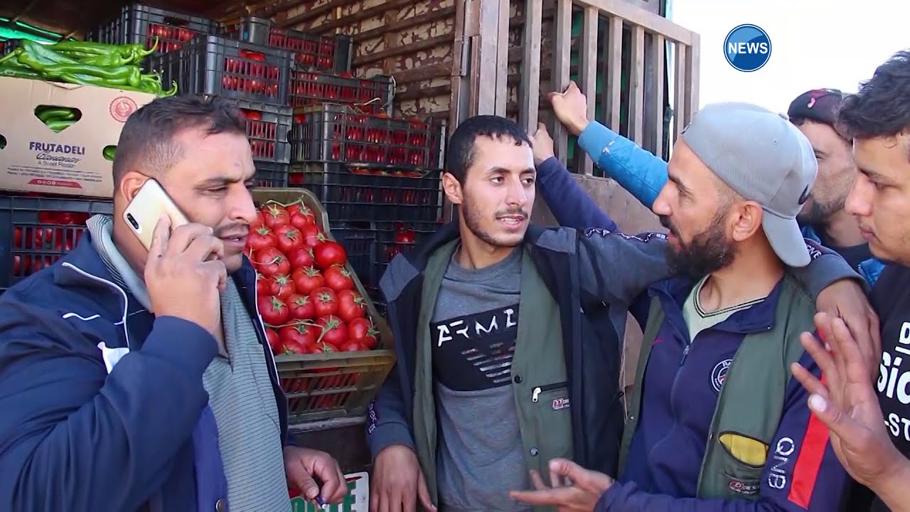 الوادي | منتوج الطماطم ...بين وفرة الإنتاج وتدني السعر