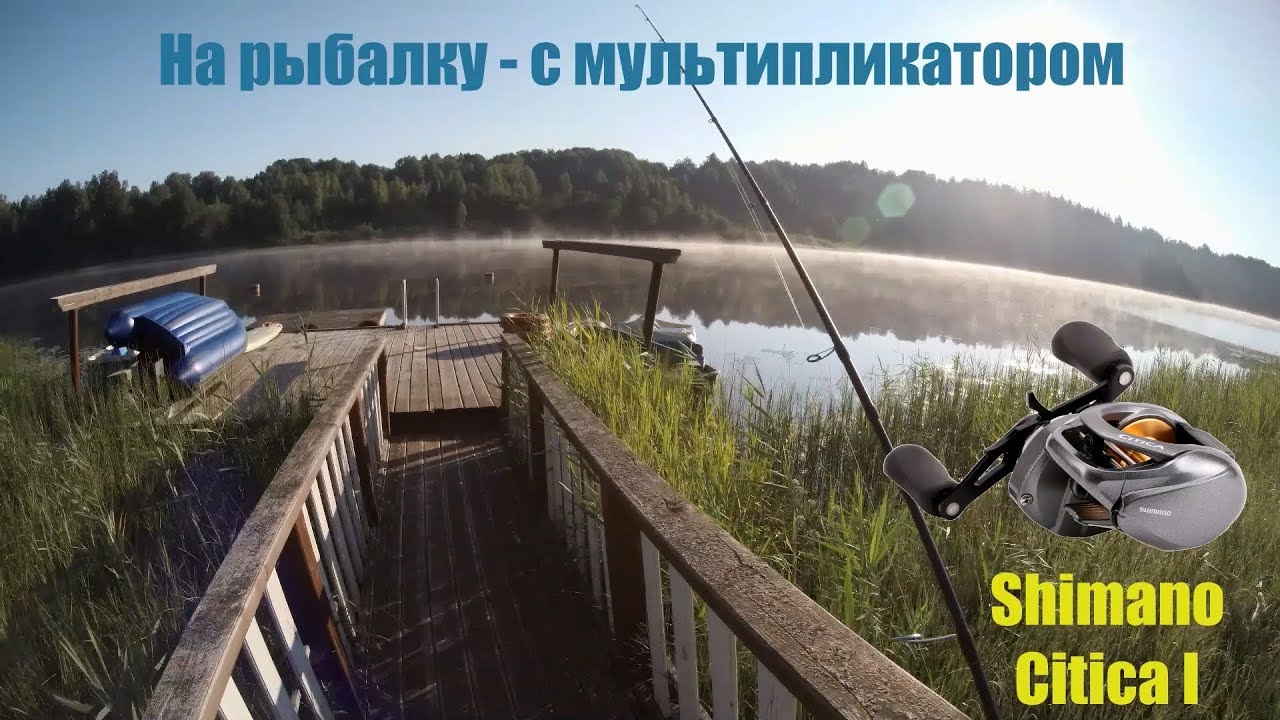 Shimano Citica I