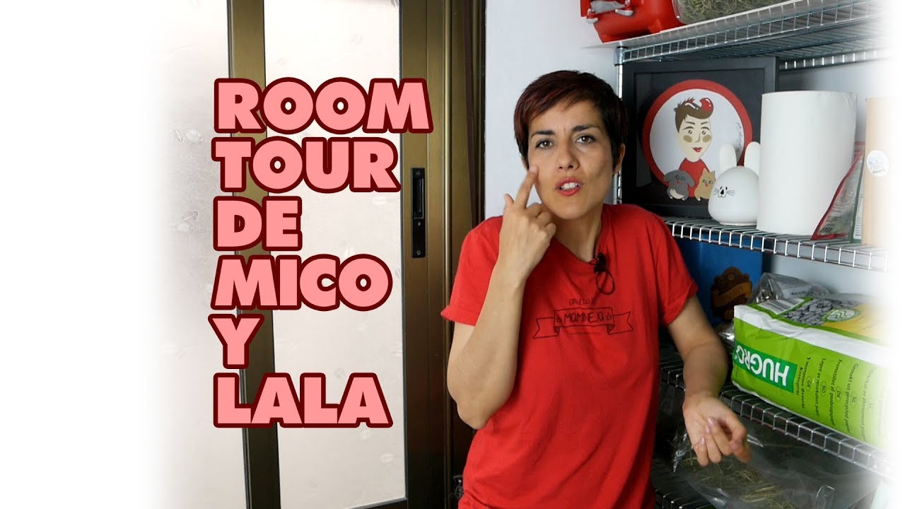 ROOM TOUR: Habitación para CONEJOS 🐰 Mico Y Lala (2019)
