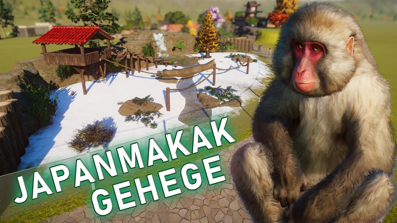 Ein Schnee-Gehege für den Japanmakak! (Speedbuild) - Planet Zoo Franchise Mode #06