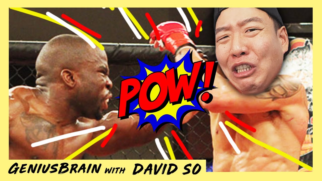 Savant Knocks Out a Fighter Into Retirement