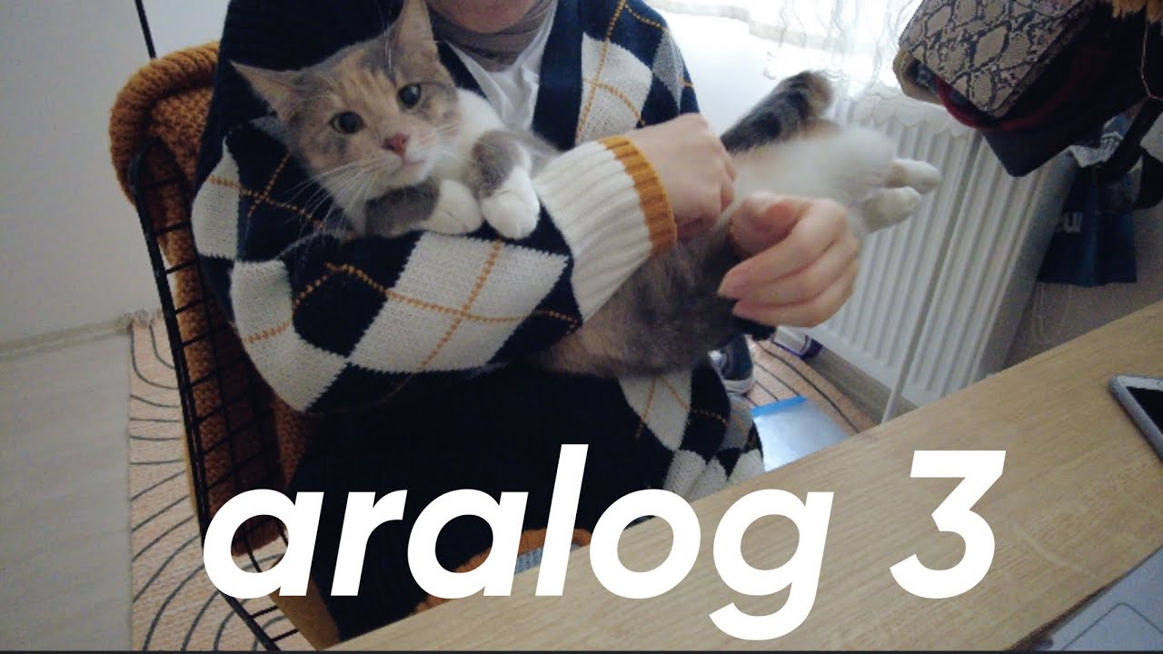 Benimle 2 gün | aralog #3