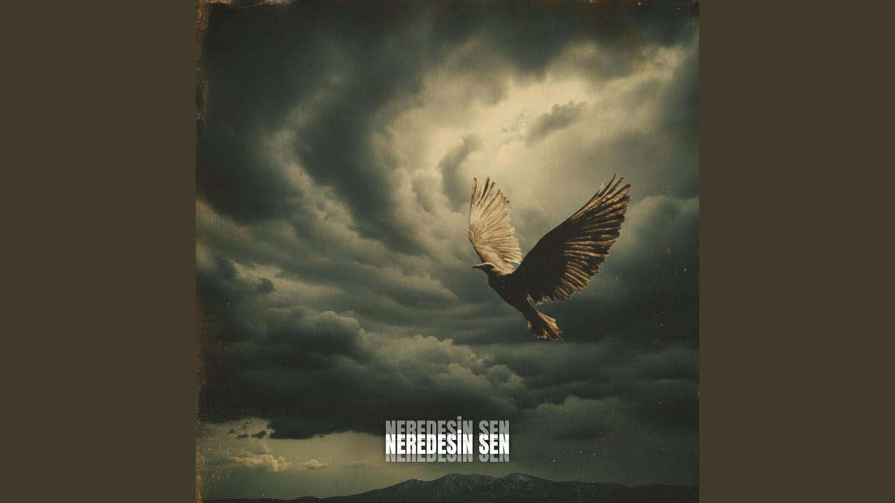 Neredesin Sen
