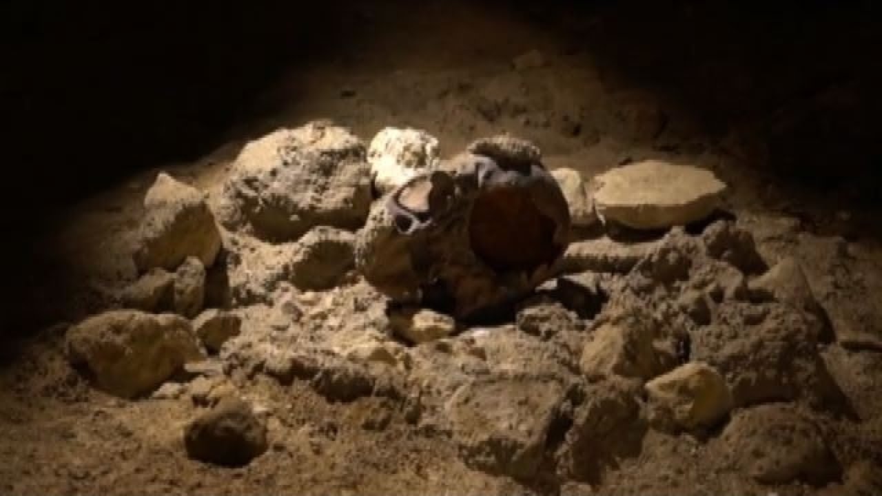 Ritrovati resti di 9 Neanderthal nella Grotta Guattari al Circeo
