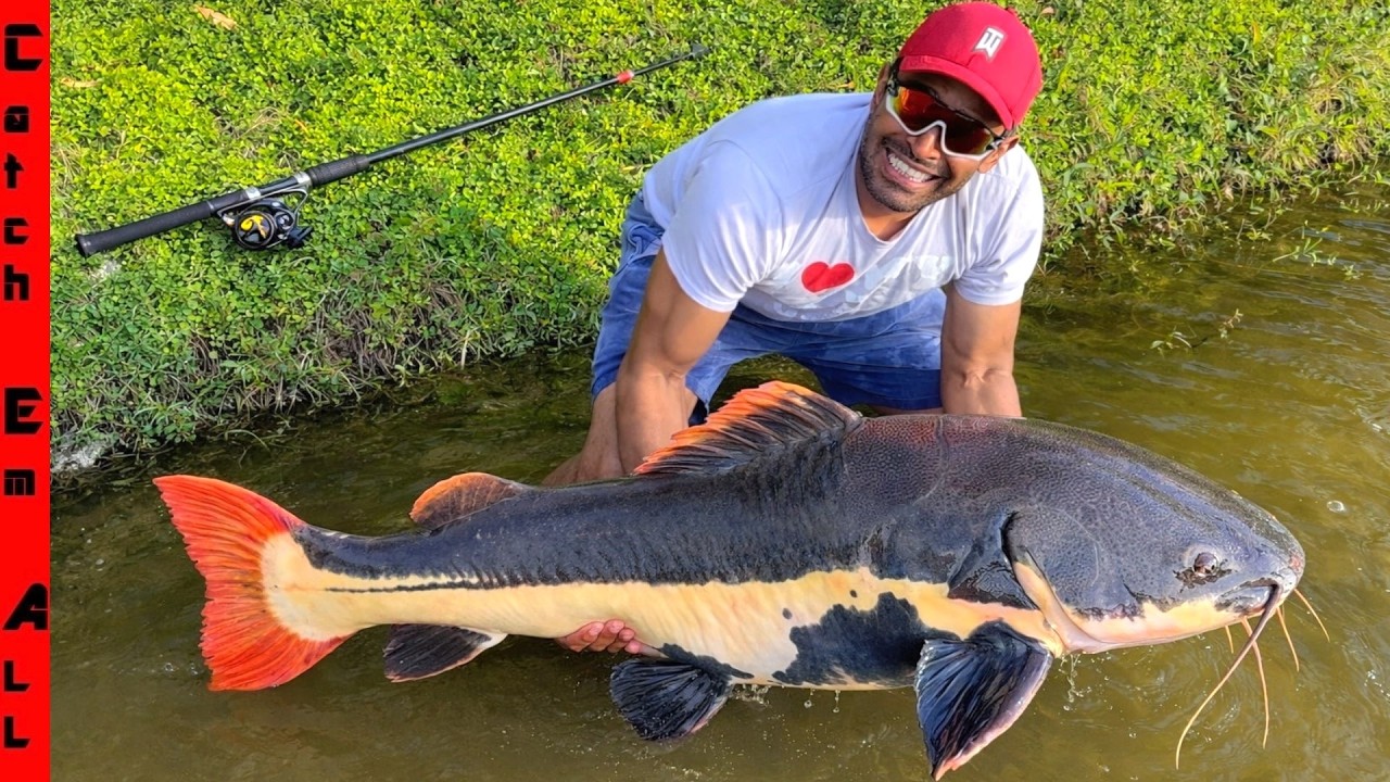 We CAUGHT a HUGE FRESHWATER POND SHARK in this CITY Canal! **BIGGEST EVER**