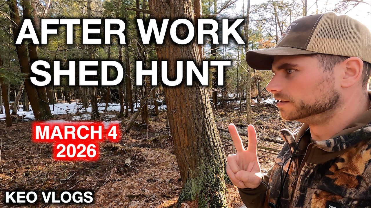 Поиск сарая после работы