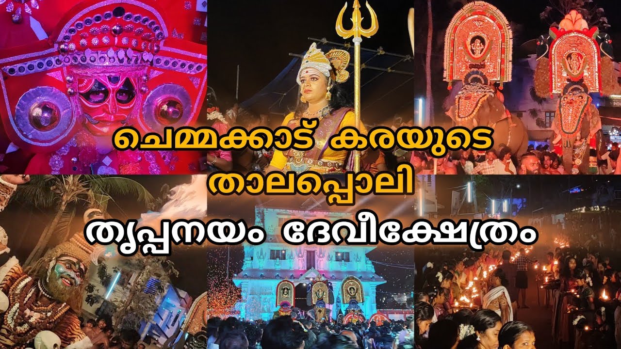 ചെമ്മക്കാട്കരയുടെ താലപ്പൊലി / തൃപ്പനയം ഉത്സവം 2025 / Thrippanayam Devi Temple #kollam #ulsavam2025