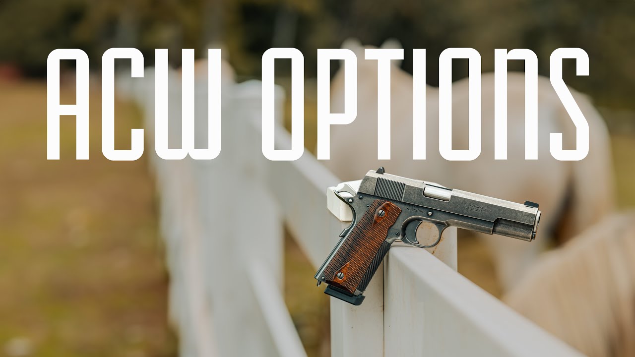Варианты для вашего ACW 1911