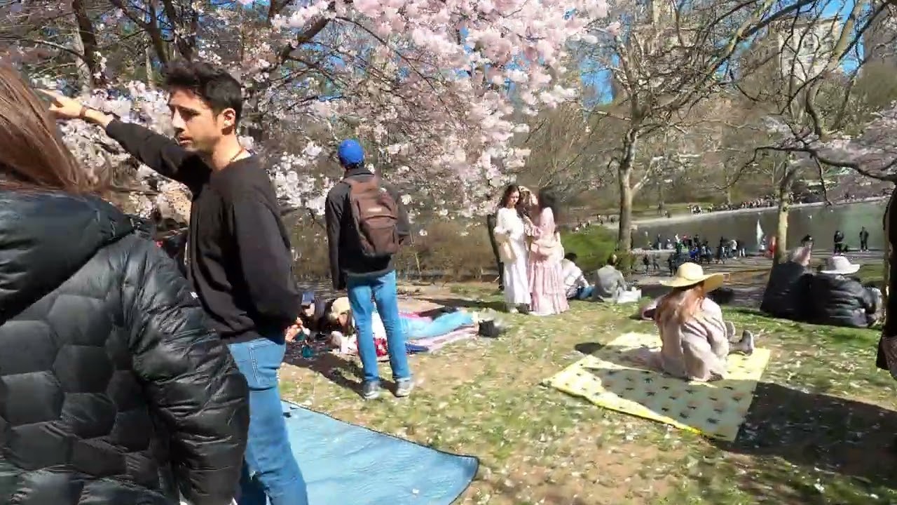 NY Central Park spring walk