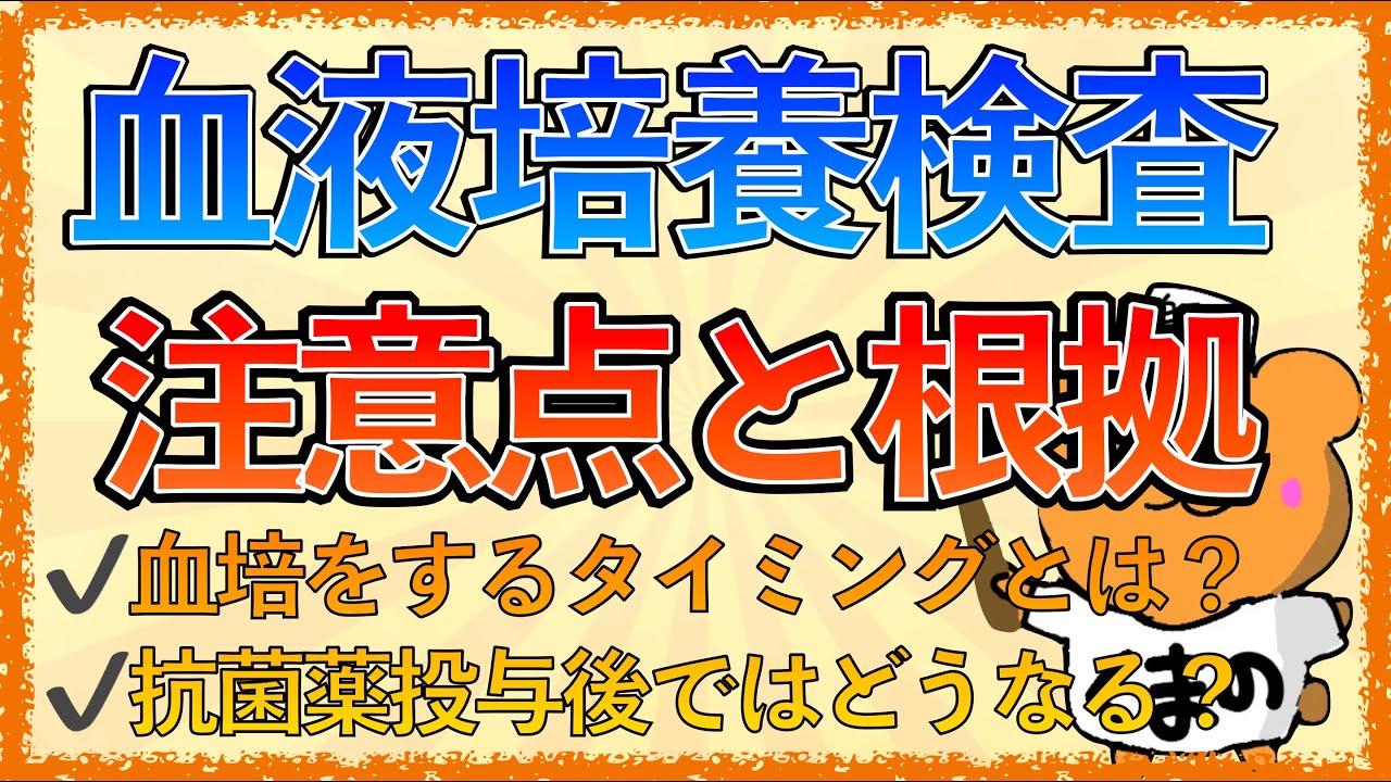 イラストで学ぶ医学！「血液培養検査の注意点と根拠とは」〜血培を行うタイミングとは？抗菌薬投与後に採血するとどうなる？〜