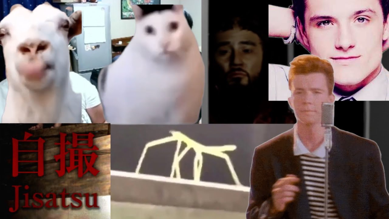 memeに汚染されすぎて全く怖くないホラゲー実況【自撮】